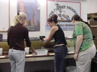 Three students examining clams in tanks.