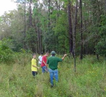 Students explore a grassy field near the woods, with their teacher gesturing toward trees.