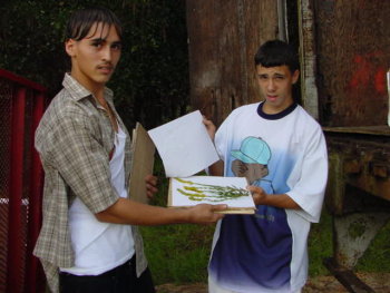 Two students holding botanical specimens on paper.