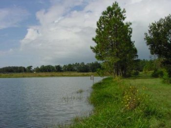 Picture of the lake.